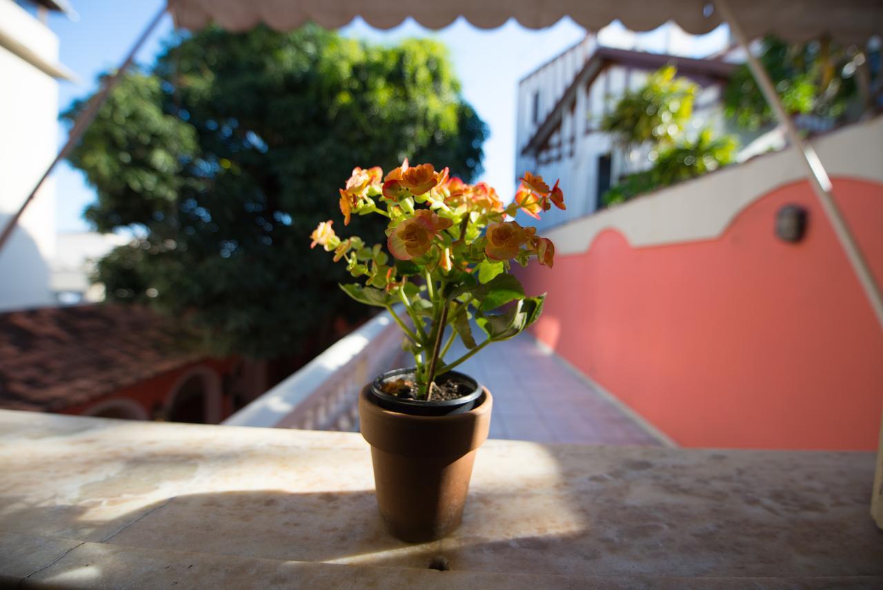 リオデジャネイロ Casa Francisco Bed & Breakfast エクステリア 写真